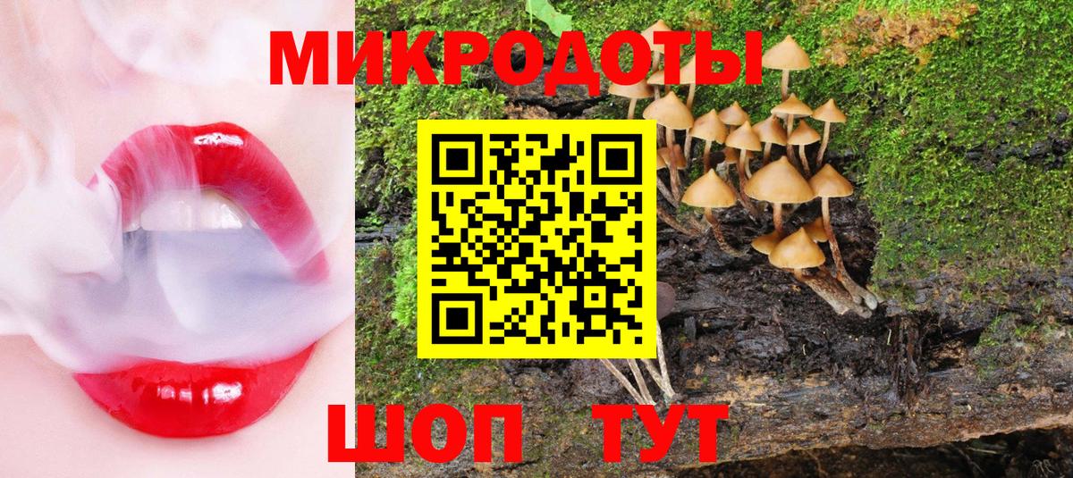 Псилоцибиновые грибы MAGIC MUSHROOMS  Вход с VPN  Долгопрудный 