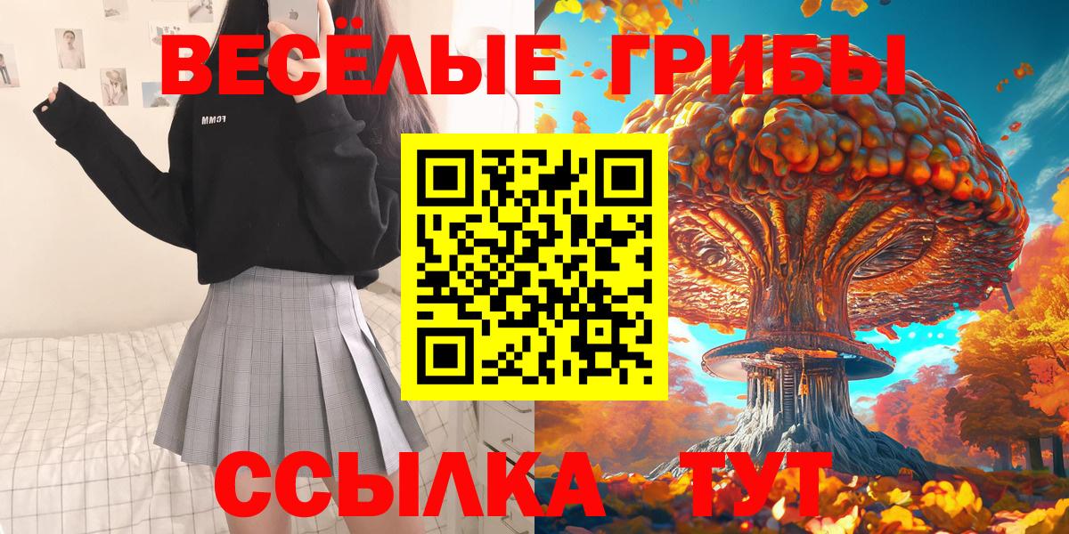 Псилоцибиновые грибы Psilocybe Долгопрудный